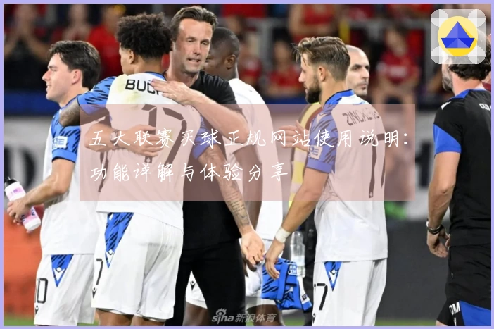 五大联赛买球正规网站使用说明：功能详解与体验分享
