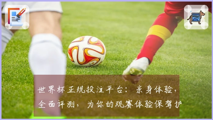 世界杯正规投注平台：亲身体验，全面评测，为你的观赛体验保驾护航