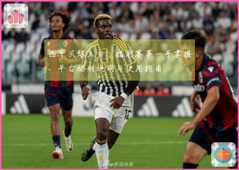 西甲买球入口：精彩赛事一手掌握，平台福利说明与使用指南