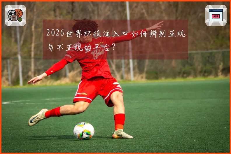 2026世界杯投注入口如何辨别正规与不正规的平台？