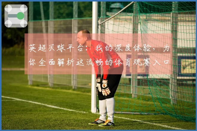 英超买球平台：我的深度体验，为你全面解析这流畅的体育观赛入口