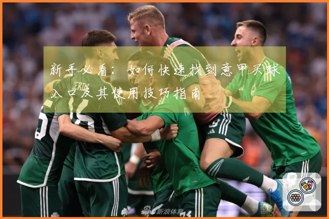 新手必看：如何快速找到意甲买球入口及其使用技巧指南