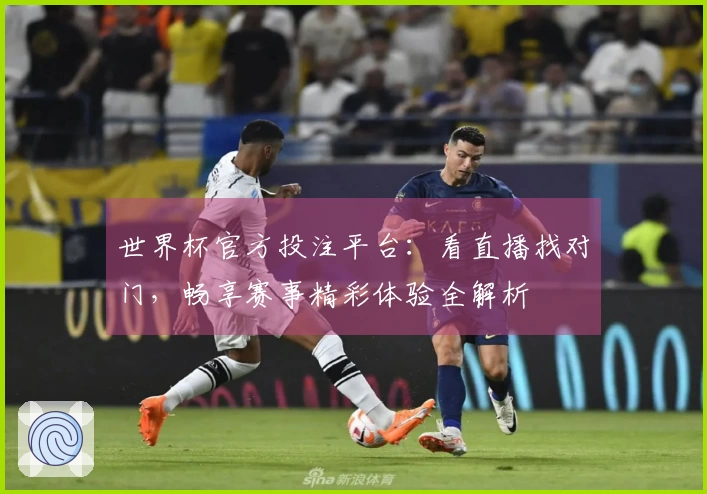 世界杯官方投注平台：看直播找对门，畅享赛事精彩体验全解析