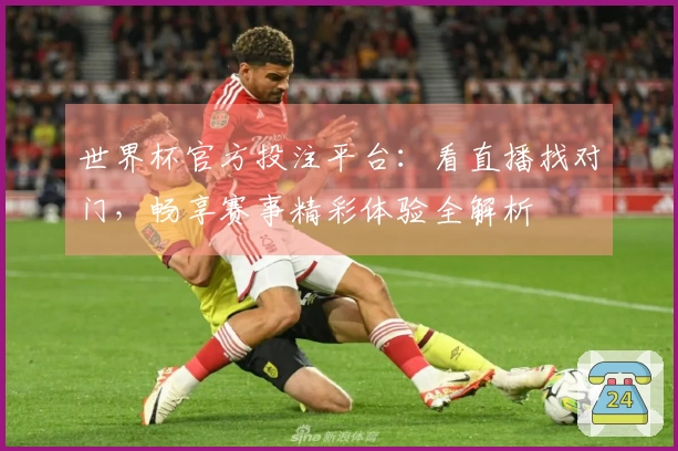 世界杯官方投注平台：看直播找对门，畅享赛事精彩体验全解析